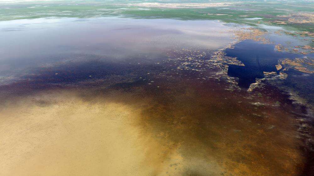 Konya’nın hocasıyla ünlü gölü 8 yıl sonra yeniden can buldu 8